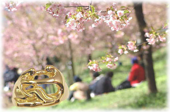 トップページカバー写真 春・桜バージョン